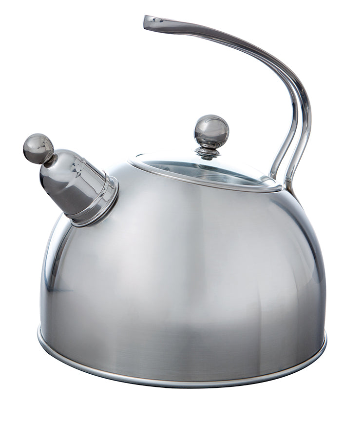 Excellent fluit fluitketel zilver, fluitketel